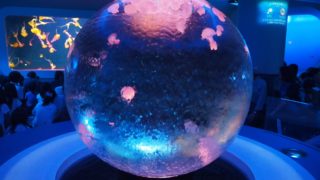 新江ノ島水族館えのすい