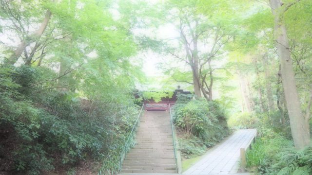 鎌倉・妙本寺