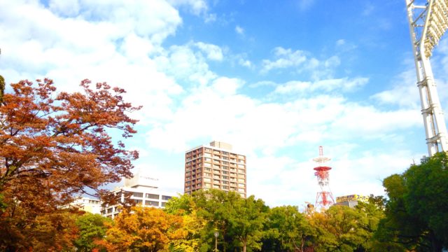 横浜公園の紅葉