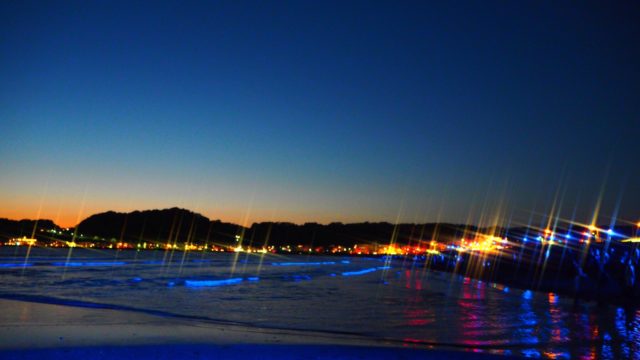 NIGHT WAVE光の波プロジェクト in 鎌倉