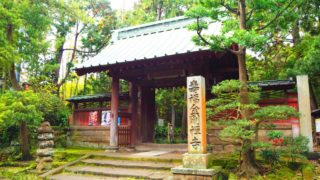 鎌倉の寿福寺