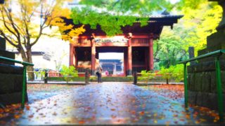 鎌倉・妙本寺の紅葉