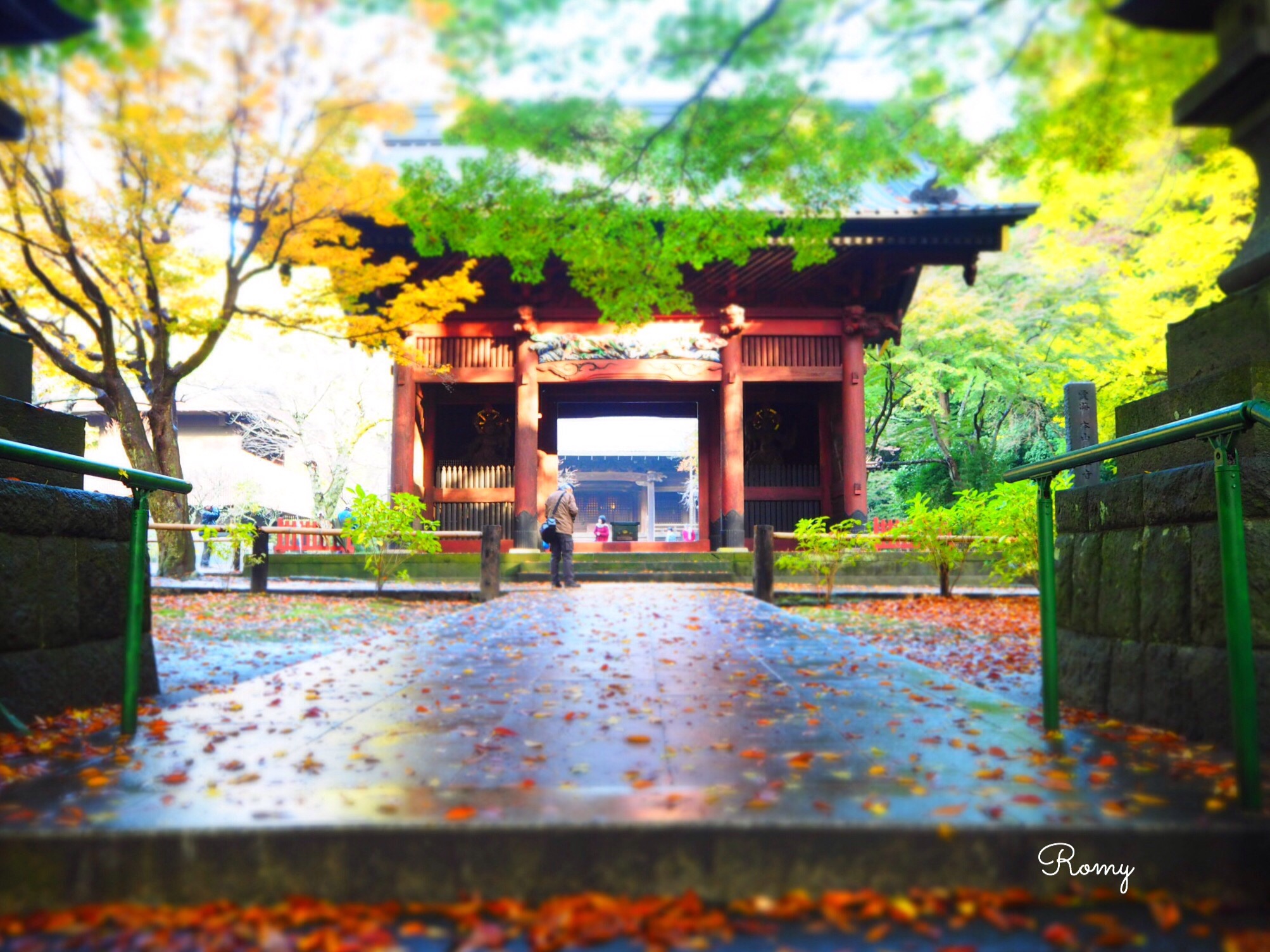 鎌倉・妙本寺の紅葉
