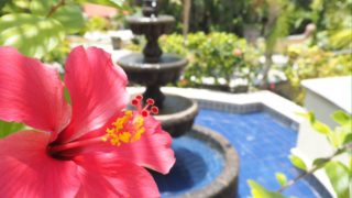 Hotel Marina El Cid Spa & Beach Resort All Inclusive