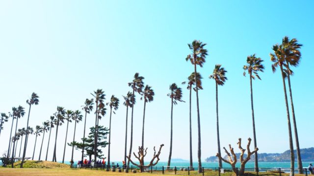 逗子マリーナの「小坪飯島公園」