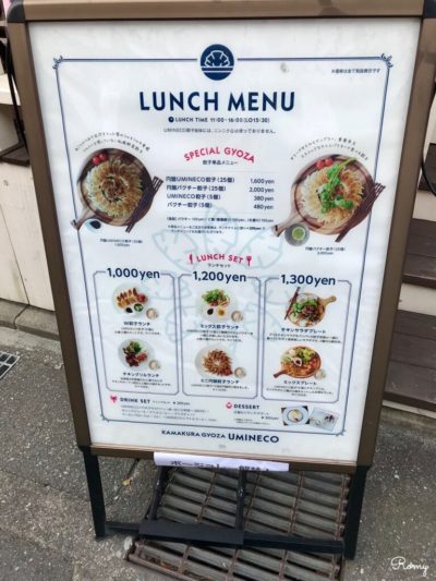 鎌倉餃子umineco Wine Cafe カフェ空間でいただく和風餃子やパクチー餃子 Romy