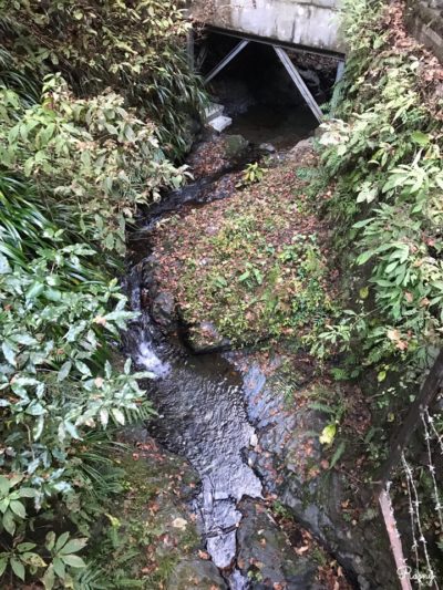 高尾山の琵琶滝