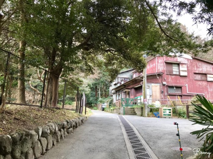 鎌倉「祇園山ハイキングコース」