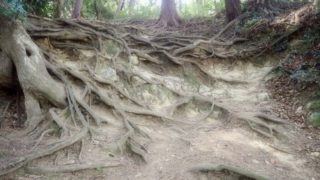 鎌倉「祇園山ハイキングコース」
