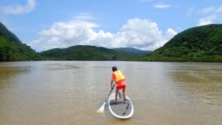 西表島の浦内川でマングローブSUP