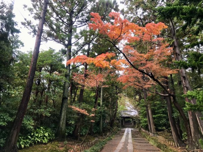 寿福寺の紅葉