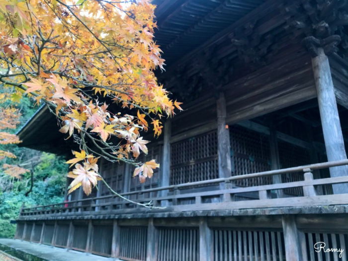 鎌倉「妙本寺」の紅葉