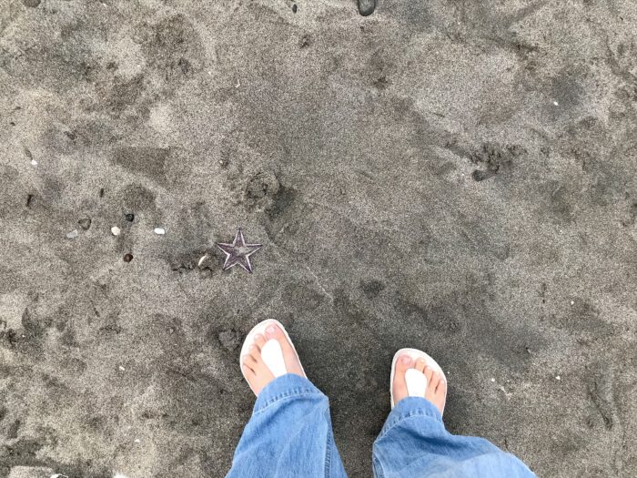 砂浜で見つけたヒトデと一緒に