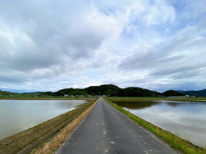 糸島の田んぼ道