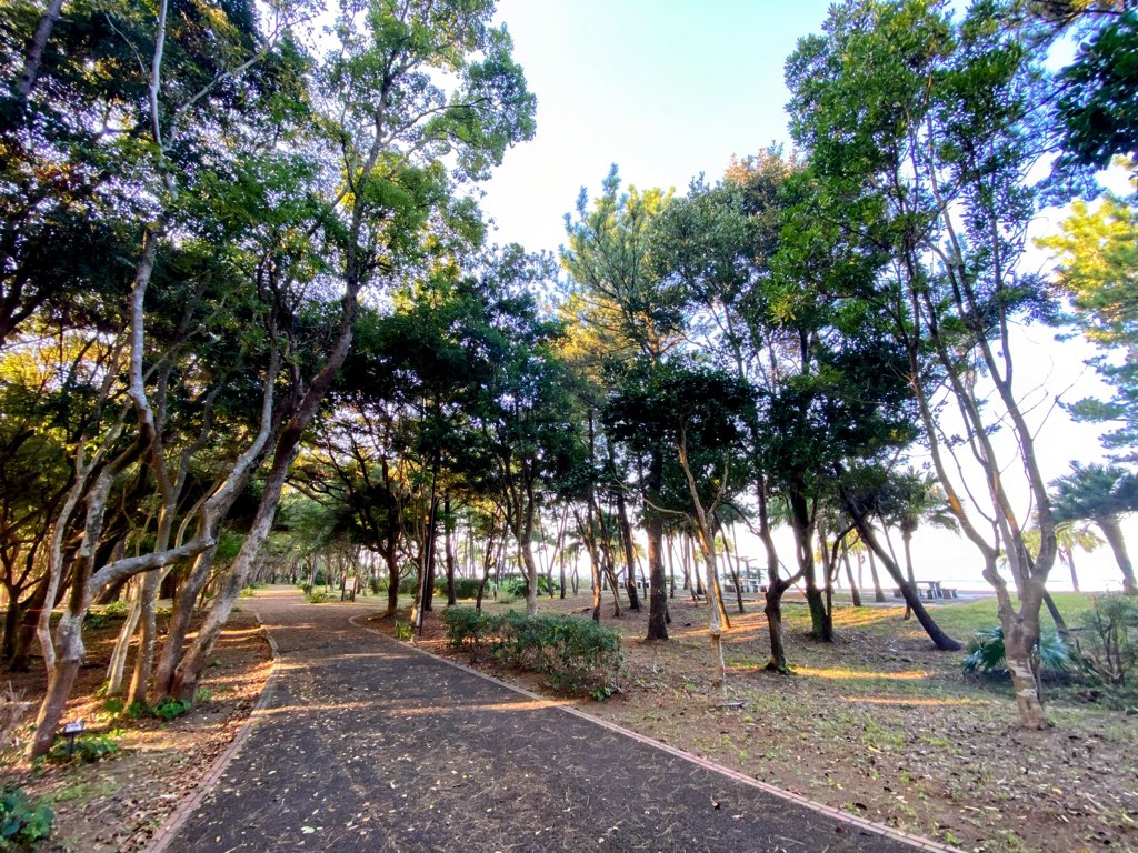 青島の公園
